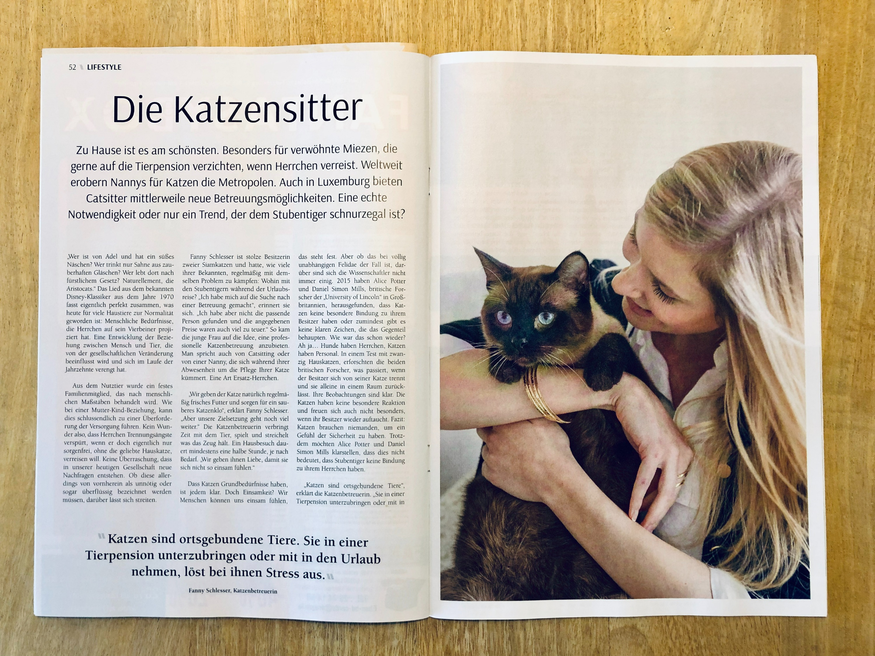 Catsitter